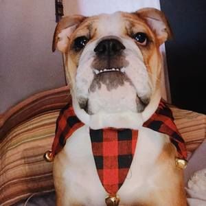 Meet your Posher, Hayden